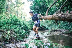 BIB: 
                            <button type="button" onclick="openModal(25431953)" class="btn btn-primary btn-sm float-right btn-popup" data-toggle="modal" data-target=".modal-high-quality">
                        <i class="fas fa-shopping-cart"></i> Add to Cart
                    </button>
                                            <button type="button" onclick="isThisMe(25431953, true)" class="btn btn-success btn-sm float-right btn-popup btn-isme hidden" data-toggle="tooltip" data-placement="bottom" title="นี่คือรูปของคุณใช่ไหม คลิกที่นี่เพื่อเอาเข้าอัลบั้ม">
                        <i class="fas fa-plus"></i> Add to album
                    </button>
                    <button type="button" onclick="isThisMe(25431953, false)" class="btn btn-warning btn-sm float-right btn-popup btn-isnotme hidden">
                        <i class="fas fa-ban"></i> Remove from album
                    </button>